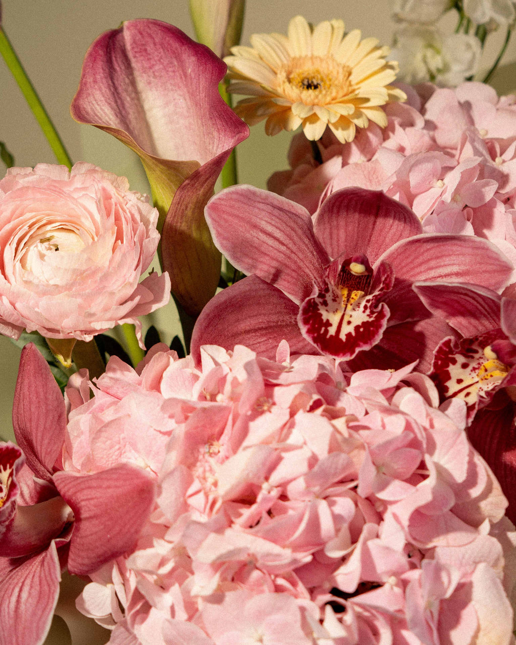 Pink Blush