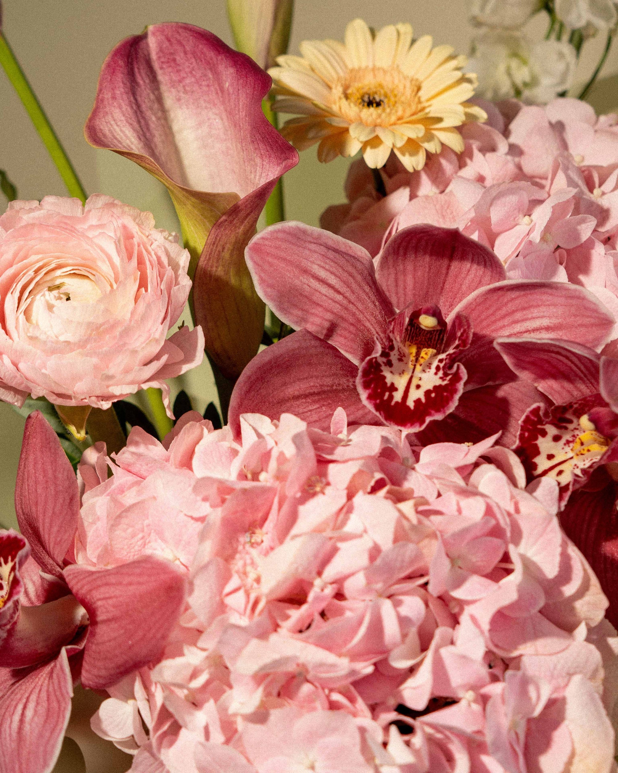 Pink Blush