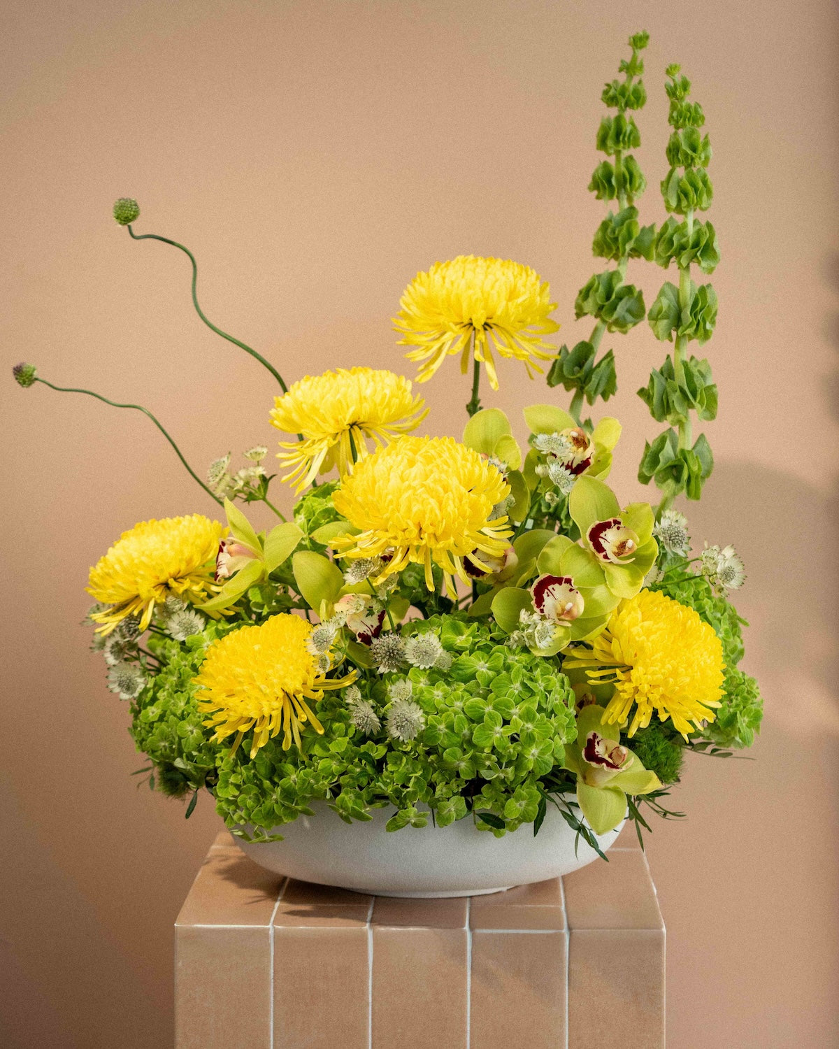 A Touch of Sunshine