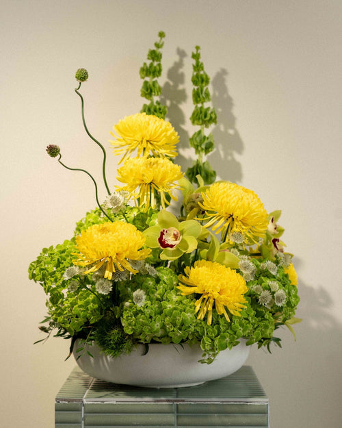 A Touch of Sunshine