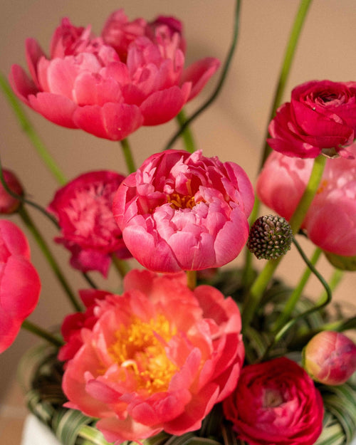 Bloom Burst